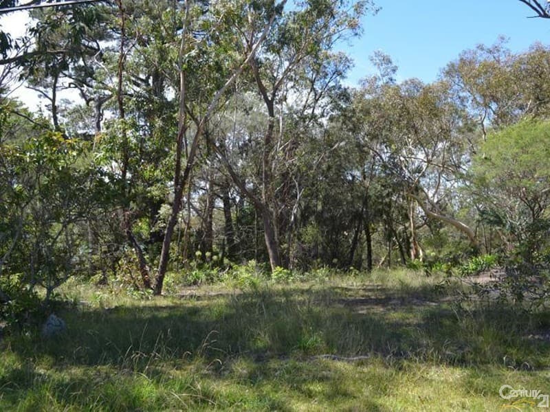 5 Ridge Street, Woodford, NSW, 2778, Woodford - Thumbnail 4