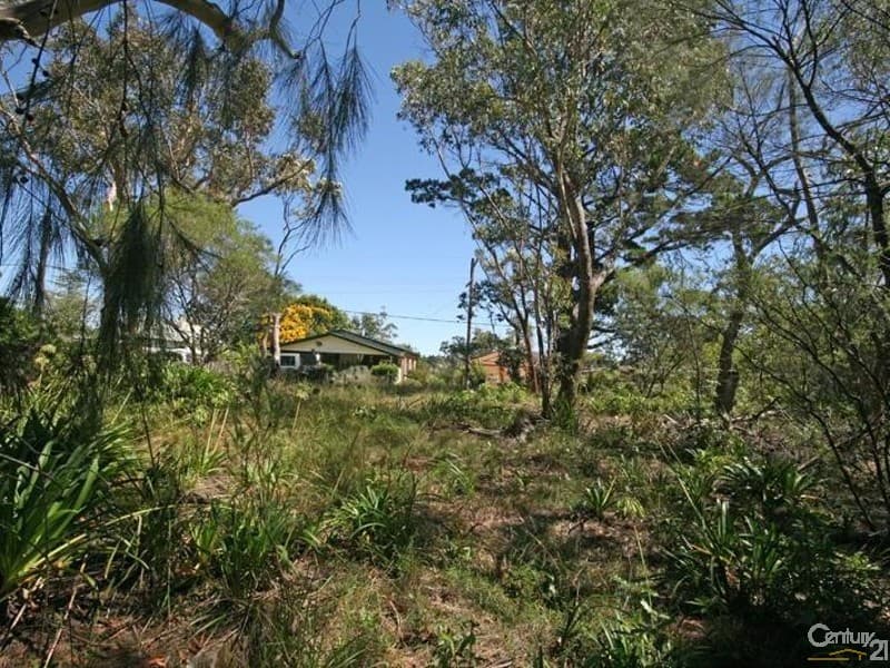 5 Ridge Street, Woodford, NSW, 2778, Woodford - Thumbnail 5