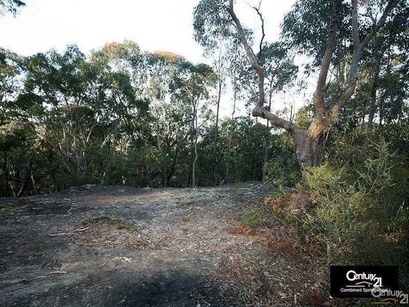 135 Macquarie Road, Springwood, NSW, 2777, Woodford - Thumbnail 6