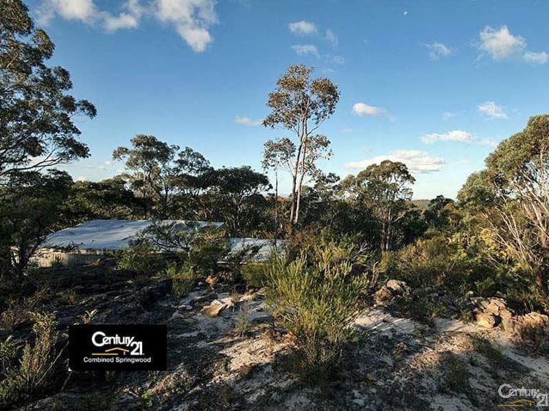 135 Macquarie Road, Springwood, NSW, 2777, Woodford - Thumbnail 4