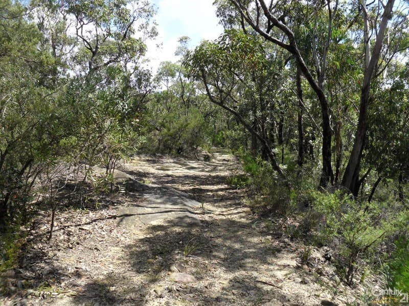 135 Macquarie Road, Springwood, NSW, 2777, Woodford - Thumbnail 7