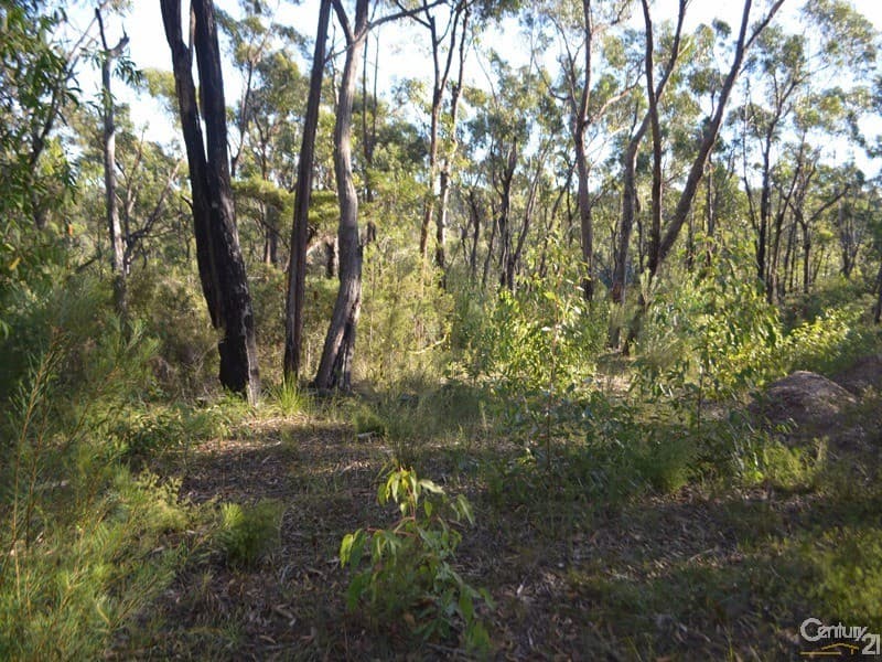 Lot 3 Spring Street, Springwood, NSW, 2777, Springwood - Thumbnail 4