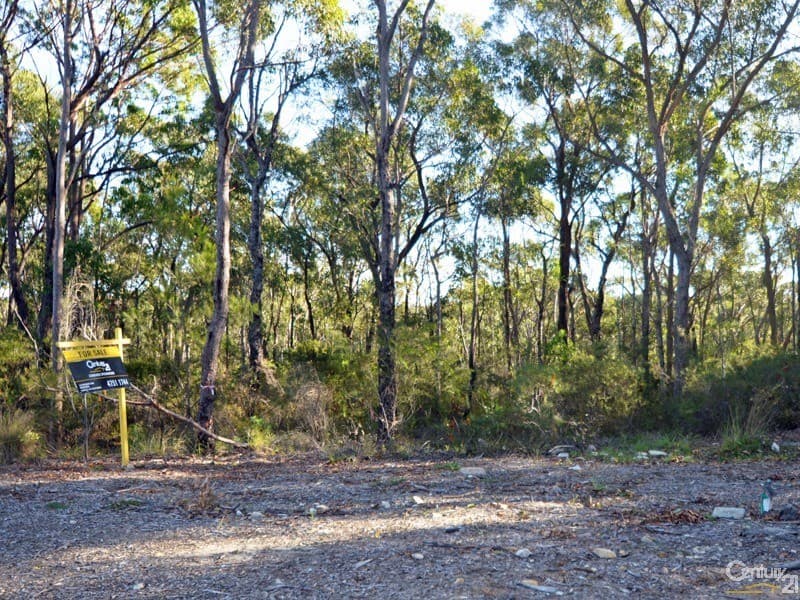 Lot 3 Spring Street, Springwood, NSW, 2777, Springwood - Thumbnail 5