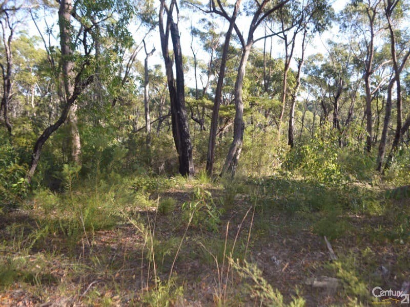 Lot 3 Spring Street, Springwood, NSW, 2777, Springwood - Thumbnail 6