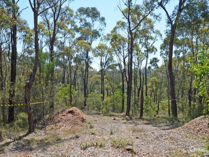 Lot 1 Spring Street, Springwood, NSW, 2777, Springwood - Thumbnail 2