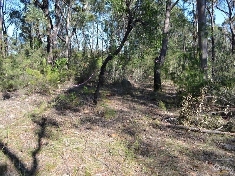 Lot 1 Spring Street, Springwood, NSW, 2777, Springwood - Thumbnail 5