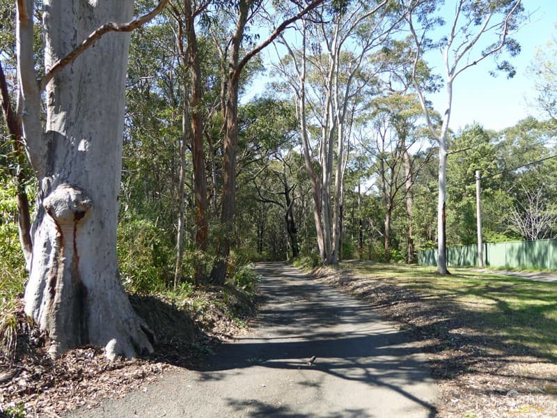 Lot 1/169 Chapman Parade, Faulconbridge, NSW, 2776, Faulconbridge - Image 1