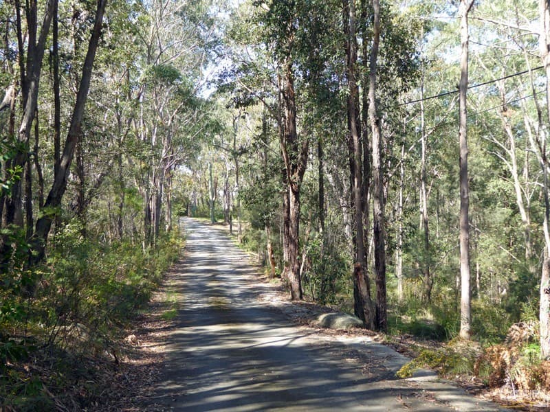 Lot 1/169 Chapman Parade, Faulconbridge, NSW, 2776, Faulconbridge - Thumbnail 4
