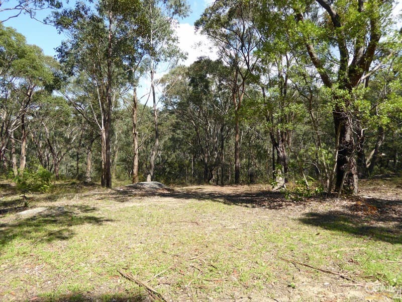 Lot 1/169 Chapman Parade, Faulconbridge, NSW, 2776, Faulconbridge - Thumbnail 2