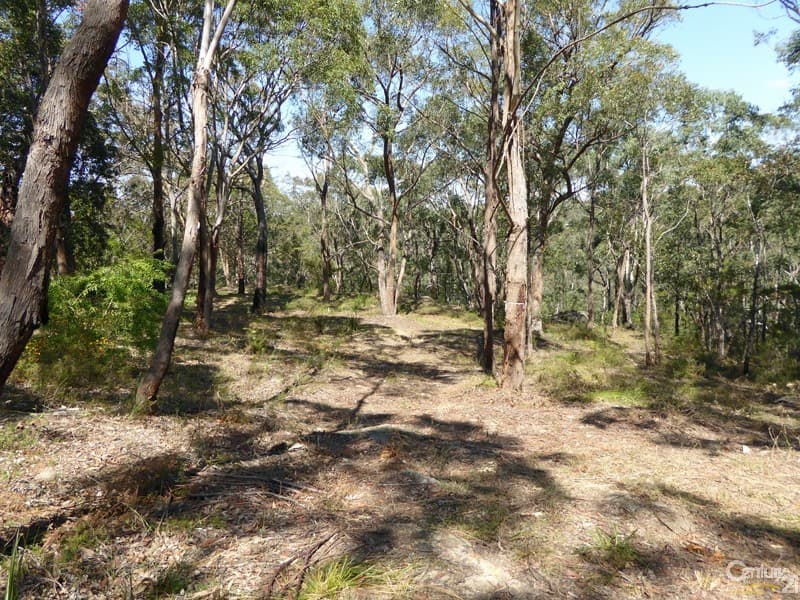 Lot 1/169 Chapman Parade, Faulconbridge, NSW, 2776, Faulconbridge - Thumbnail 3
