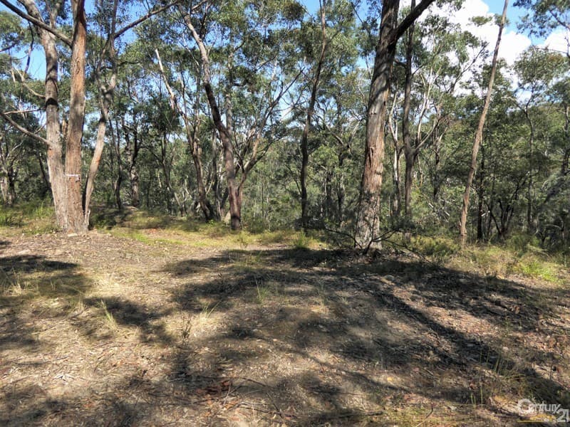 Lot 1/169 Chapman Parade, Faulconbridge, NSW, 2776, Faulconbridge - Thumbnail 5