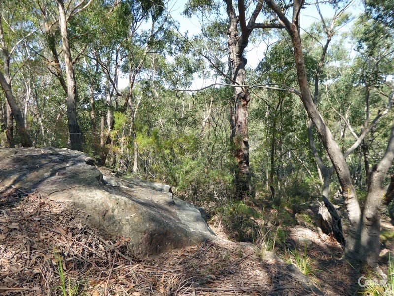 Lot 1/169 Chapman Parade, Faulconbridge, NSW, 2776, Faulconbridge - Thumbnail 6