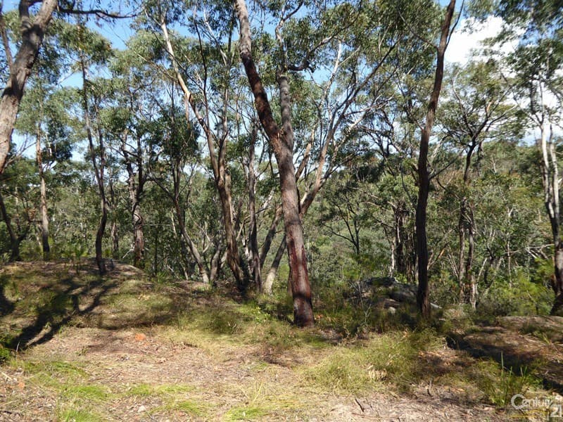 Lot 1/169 Chapman Parade, Faulconbridge, NSW, 2776, Faulconbridge - Thumbnail 7