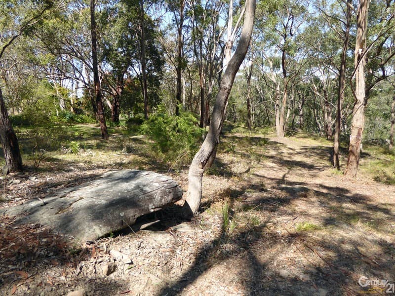 Lot 1/169 Chapman Parade, Faulconbridge, NSW, 2776, Faulconbridge - Thumbnail 8