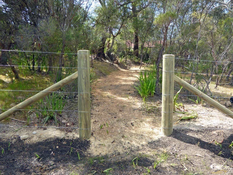 Address Withheld, Woodford, NSW, 2778, Woodford - Thumbnail 2