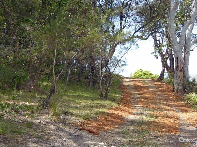 Address Withheld, Woodford, NSW, 2778, Woodford - Thumbnail 3
