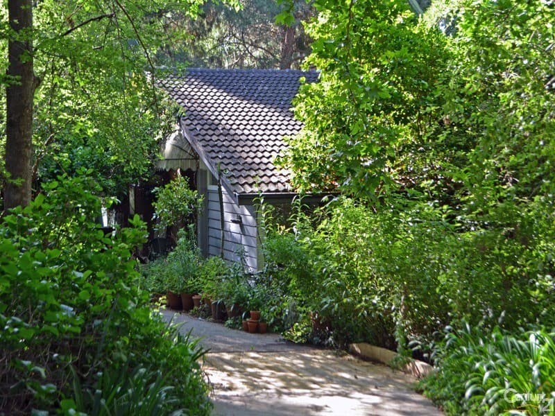 14 Ellison Road, Springwood, NSW, 2777, Springwood - Thumbnail 3