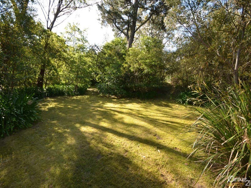 7 Forbes Road, Hazelbrook, NSW, 2779, Hazelbrook - Thumbnail 3