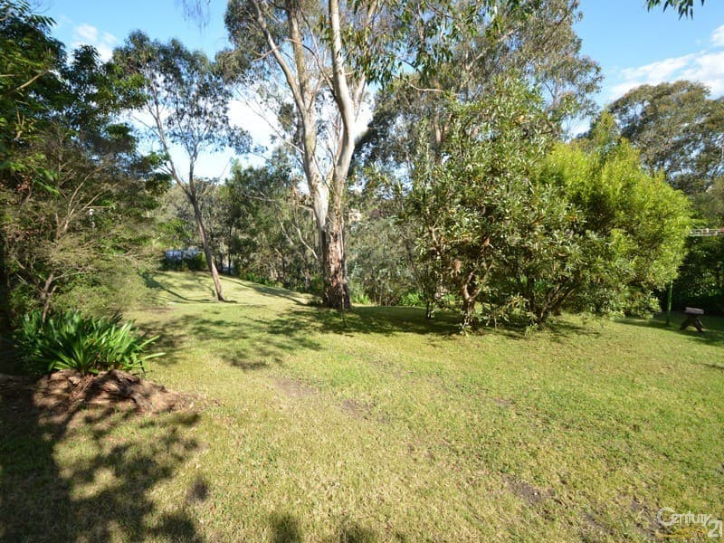 7 Forbes Road, Hazelbrook, NSW, 2779, Hazelbrook - Thumbnail 4