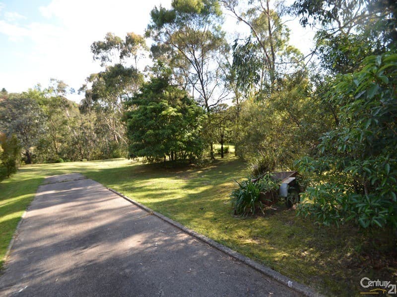 7 Forbes Road, Hazelbrook, NSW, 2779, Hazelbrook - Thumbnail 5