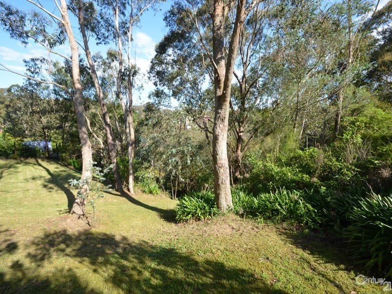 7 Forbes Road, Hazelbrook, NSW, 2779, Hazelbrook - Thumbnail 6