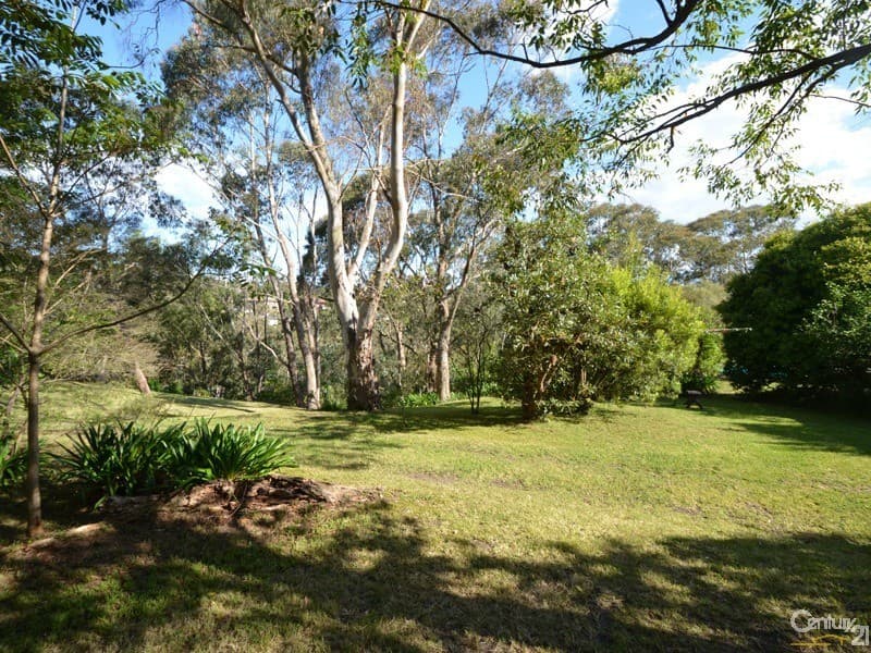 7 Forbes Road, Hazelbrook, NSW, 2779, Hazelbrook - Thumbnail 8