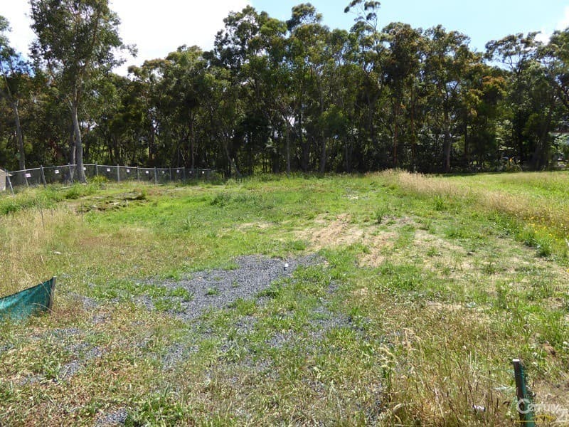 9 Goranne Place, Hazelbrook, NSW, 2779, Hazelbrook - Thumbnail 3