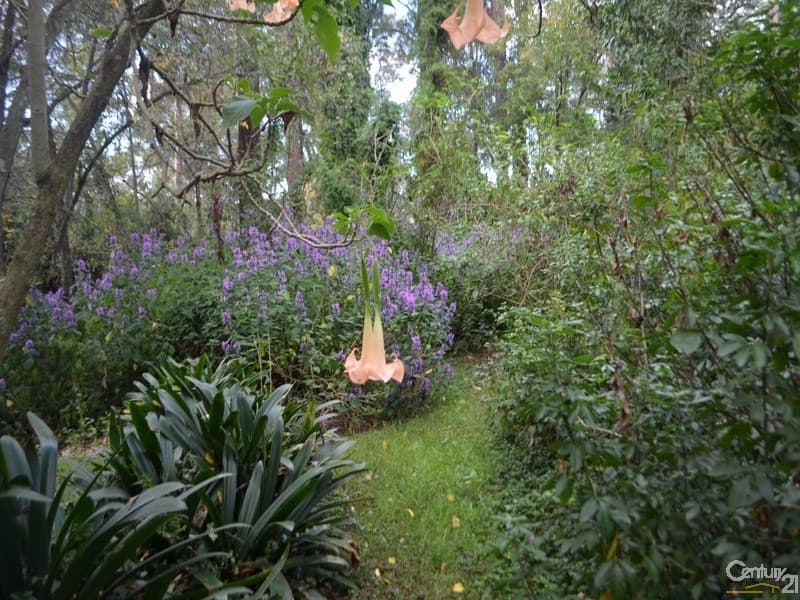 16 Ellison Road, Springwood, NSW, 2777, Springwood - Thumbnail 8