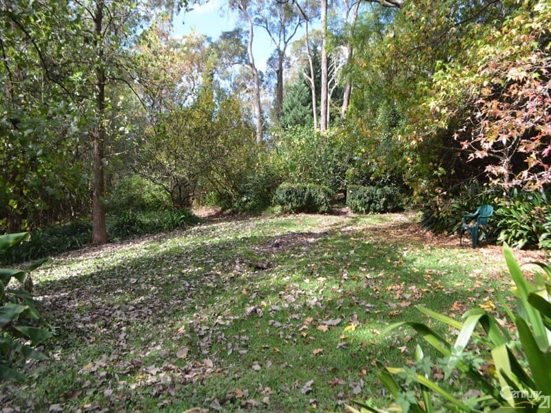 16 Ellison Road, Springwood, NSW, 2777, Springwood - Thumbnail 4