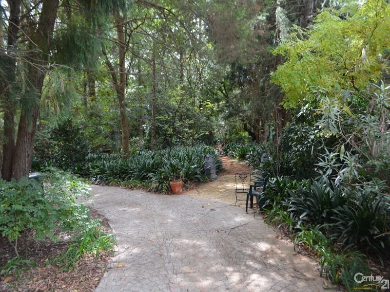 16 Ellison Road, Springwood, NSW, 2777, Springwood - Thumbnail 2