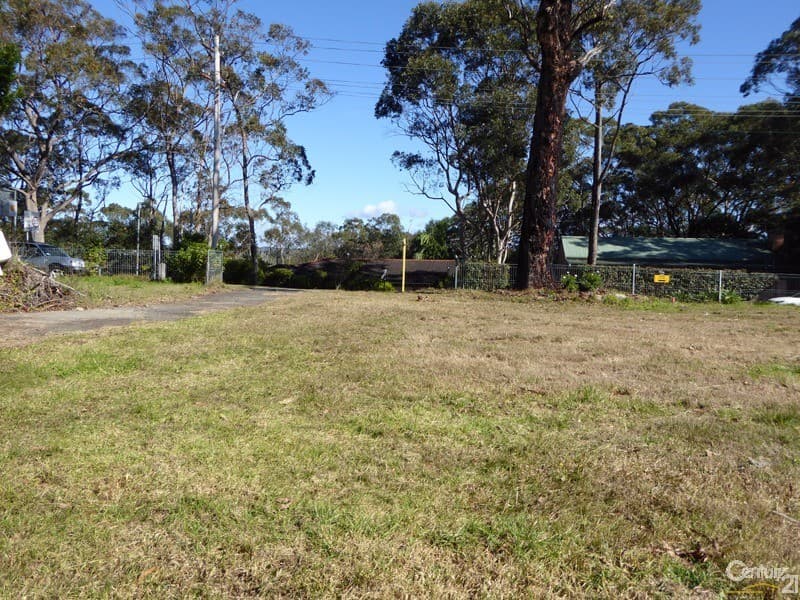 44a Burns Road, Springwood, NSW, 2777, Springwood - Thumbnail 4