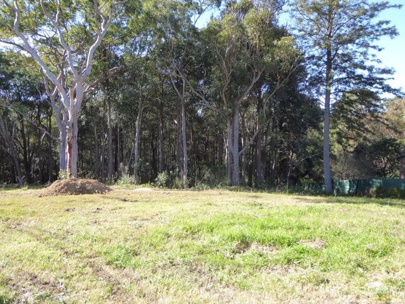 44a Burns Road, Springwood, NSW, 2777, Springwood - Thumbnail 5