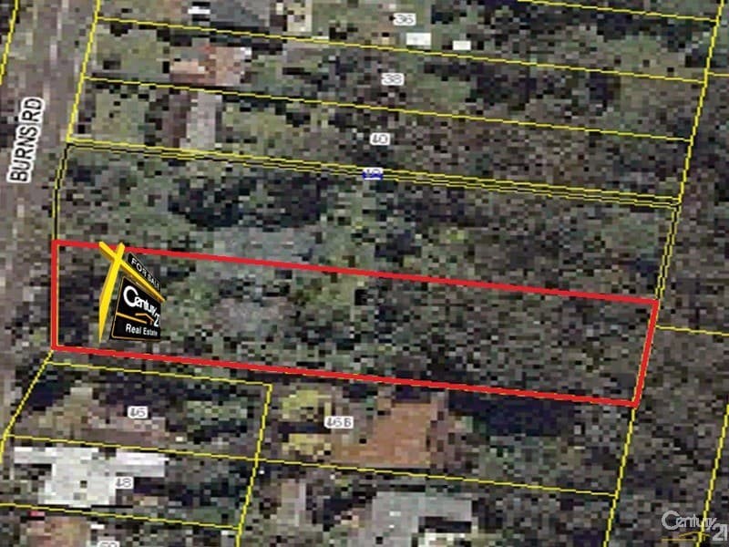 44a Burns Road, Springwood, NSW, 2777, Springwood - Thumbnail 3