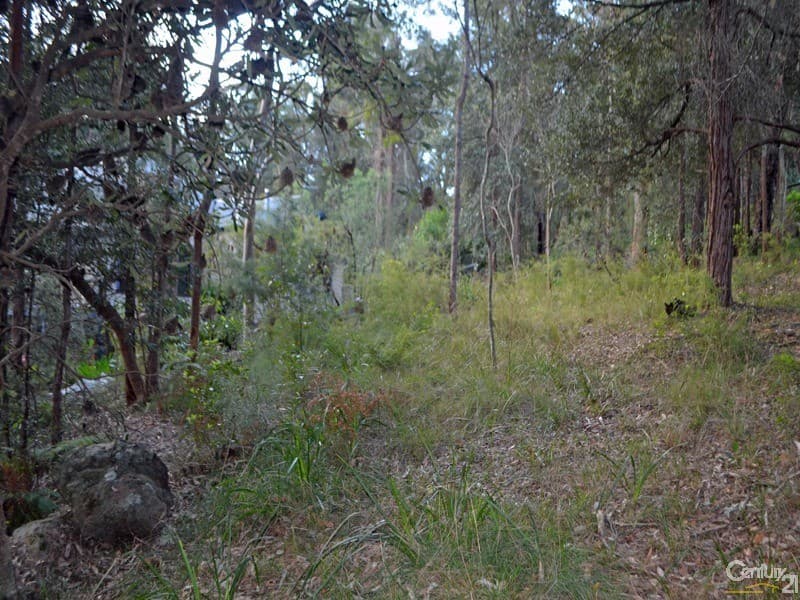 24  Currawong Avenue, Valley Heights, NSW, 2777, Valley Heights - Thumbnail 4