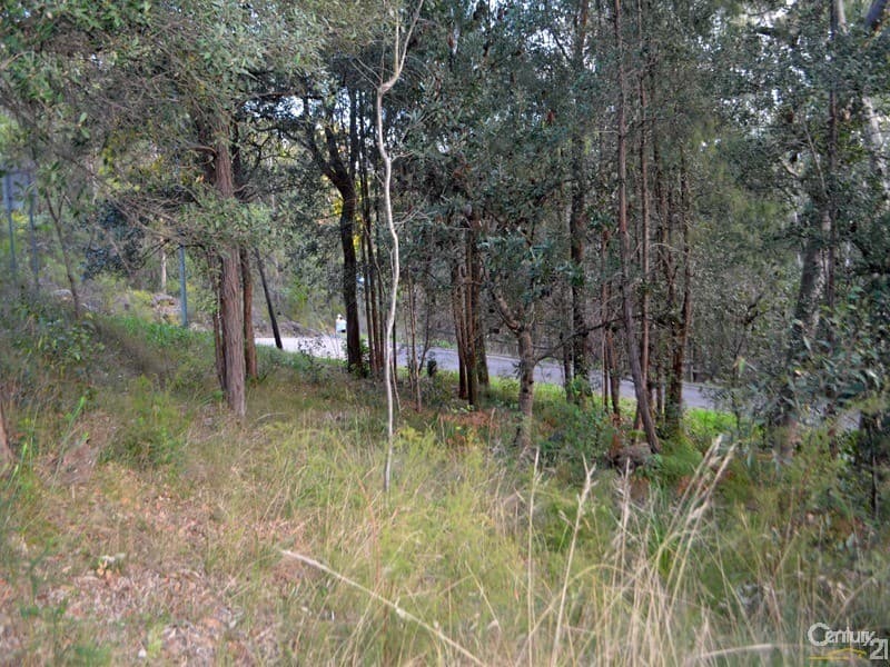 24  Currawong Avenue, Valley Heights, NSW, 2777, Valley Heights - Thumbnail 6