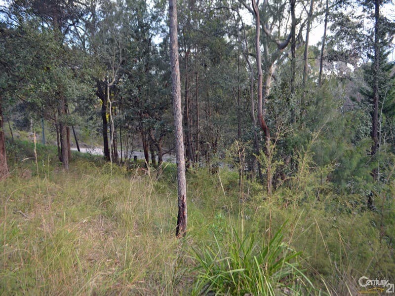 24  Currawong Avenue, Valley Heights, NSW, 2777, Valley Heights - Thumbnail 7