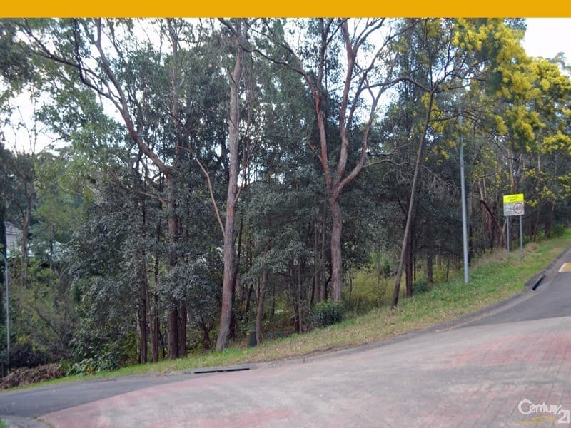 24  Currawong Avenue, Valley Heights, NSW, 2777, Valley Heights - Thumbnail 8