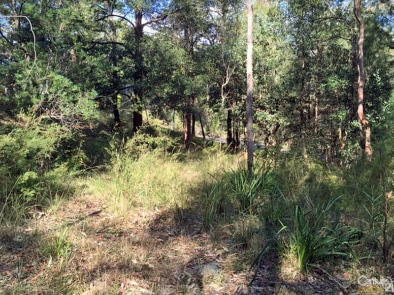 24  Currawong Avenue, Valley Heights, NSW, 2777, Valley Heights - Thumbnail 2