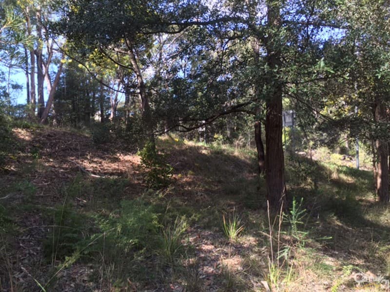24  Currawong Avenue, Valley Heights, NSW, 2777, Valley Heights - Thumbnail 3