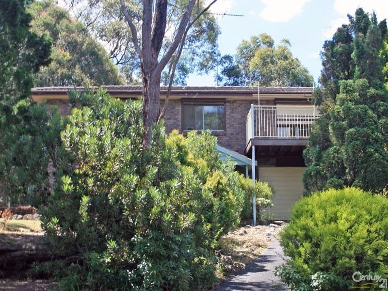 12 Perry Ave, Springwood, NSW, 2777, Springwood - Thumbnail 2