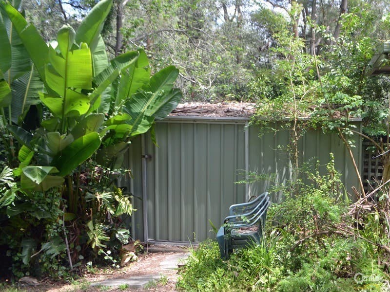 18 Moore Road, Springwood, NSW, 2777, Springwood - Thumbnail 5
