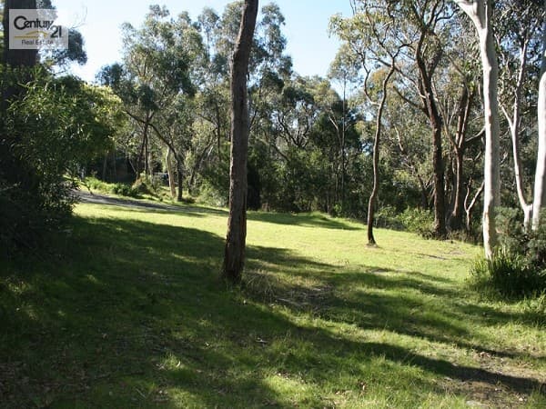 Address Withheld, Faulconbridge, NSW, 2776, Faulconbridge - Thumbnail 2