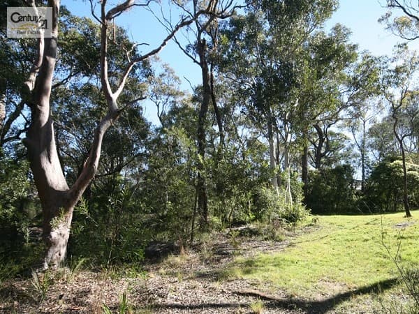 Address Withheld, Faulconbridge, NSW, 2776, Faulconbridge - Thumbnail 3