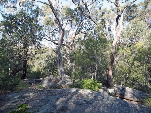 Address Withheld, Faulconbridge, NSW, 2776, Faulconbridge - Thumbnail 4