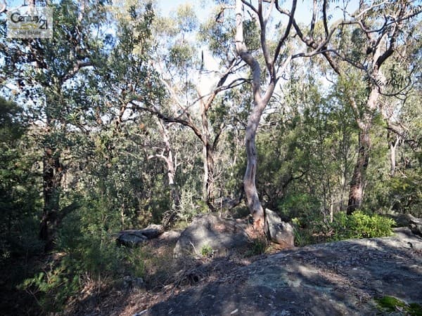 Address Withheld, Faulconbridge, NSW, 2776, Faulconbridge - Thumbnail 5
