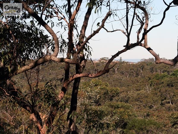Address Withheld, Faulconbridge, NSW, 2776, Faulconbridge - Thumbnail 6