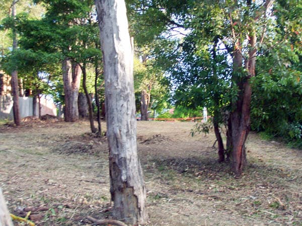 Address Withheld, Springwood, NSW, 2777, Springwood - Thumbnail 3
