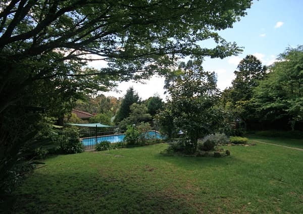 135 Macquarie Road, Springwood, NSW, 2777, Hazelbrook - Thumbnail 6