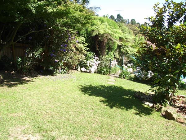 135 Macquarie Road, Springwood, NSW, 2777, Hazelbrook - Thumbnail 8