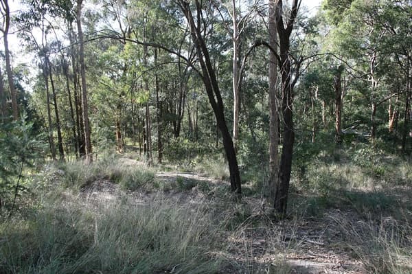 135 Macquarie Road, Springwood, NSW, 2777, Hawkesbury Heights - Thumbnail 3